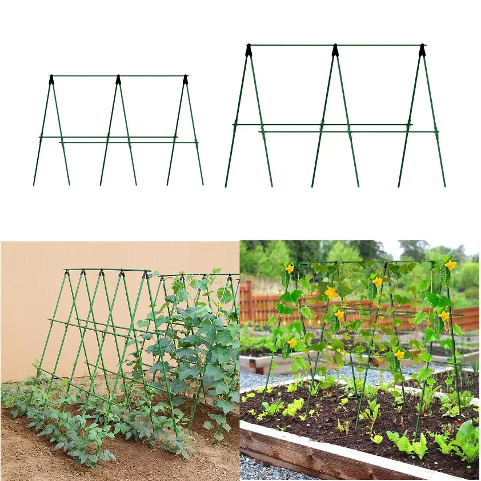 Langlebige Gartenpfähle für Kletterpflanzen Rankstützstäbe Unverzichtbar für Tomaten Weintrauben Gurken Passionsfrüchte