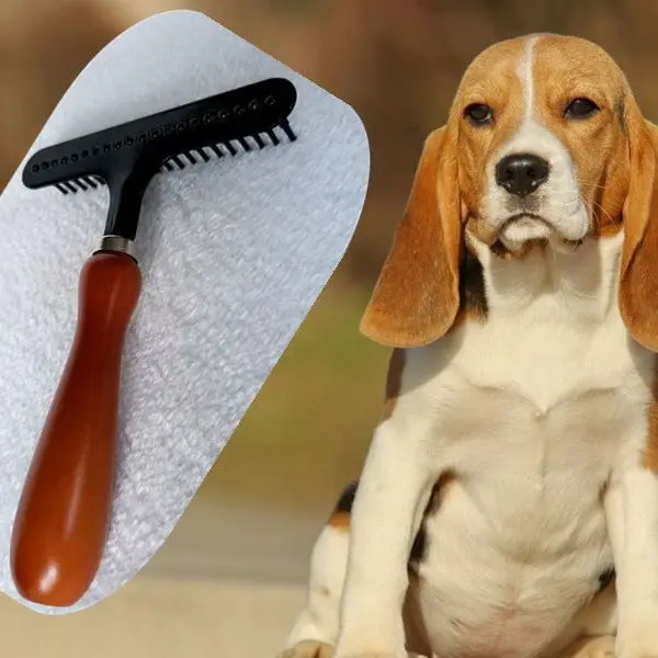 Haustier Lange Kurze Haare Holz Enthaarung Werkzeug Hund Haar Unterwolle Rechen Enthaarung Werkzeug Für Hunde Und Katzen Hundesalon Rechen – Detail 1