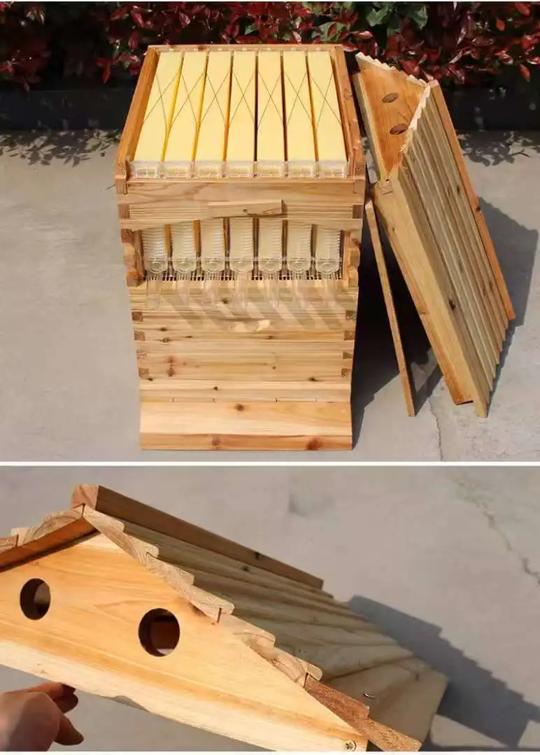 Golden Palace Automatic Flows hive 2 Beehive 7pcs Super Box Free Frame