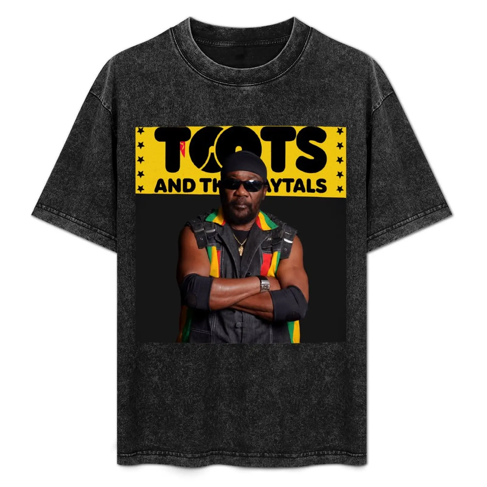 

Passion Spectrum Reggae Music Turn Wonderful Funny Gift Live Toots And The Maytals Gift For Fans T-Shirt