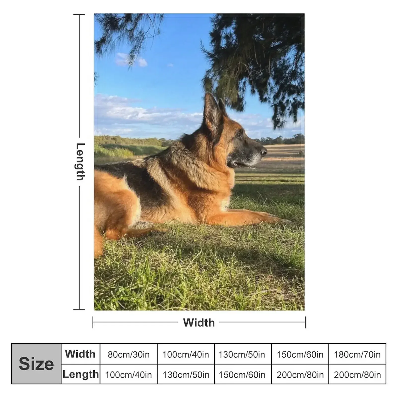 Shepherd in the Sun Throw Blanket couch cozy soft plush fuzzy picnic outdoor blanket