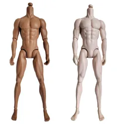 Original Ken Adonis Muscle Body Brown Latino Skin Tone 1/6 Dolls Joints Movable Male Doll Body Boys Girls Gifts DIY Parts