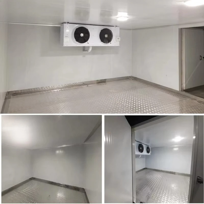 Customized High Quality 500 Tons Cold Room Freezer for Chicken Meat Food Preservation