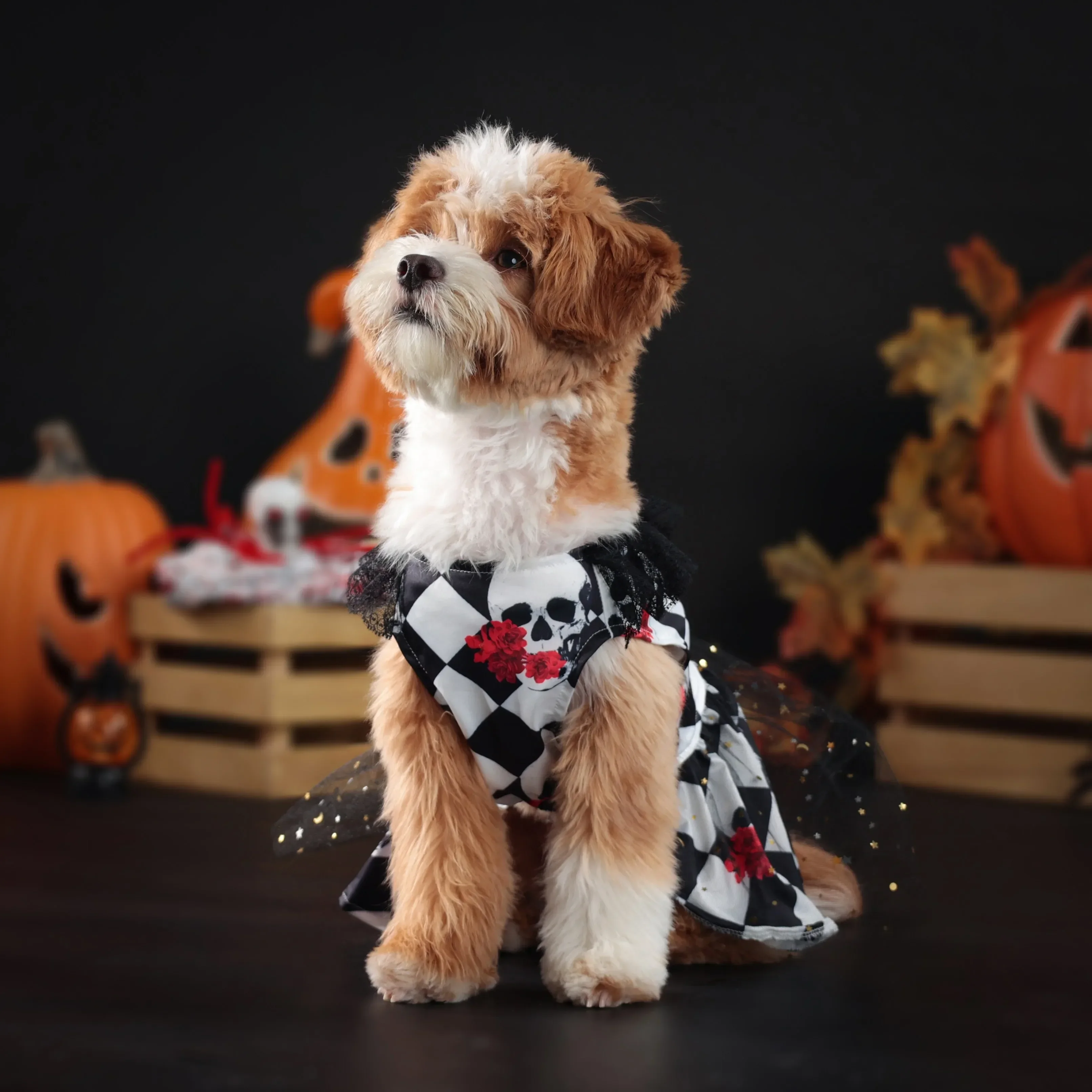 Neue Spaß Hund Halloween Kostüm Haustier Spitze Haars chutz Kleid Hund Kleidung Geschenk Hund Kleid