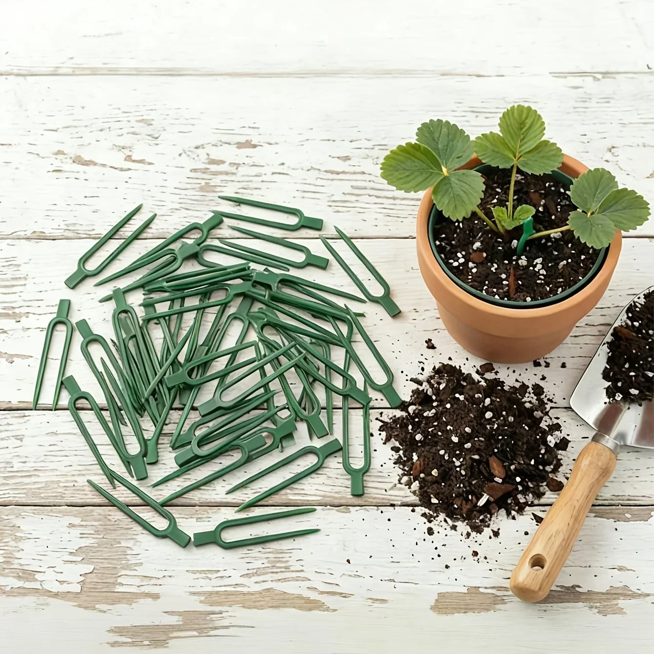 50pcs Plastic Plant Vine Spreader Forks - Plastic U-Shaped Garden Stakes - Vine Fixers - Plant Support Clips,Strawberry Vines