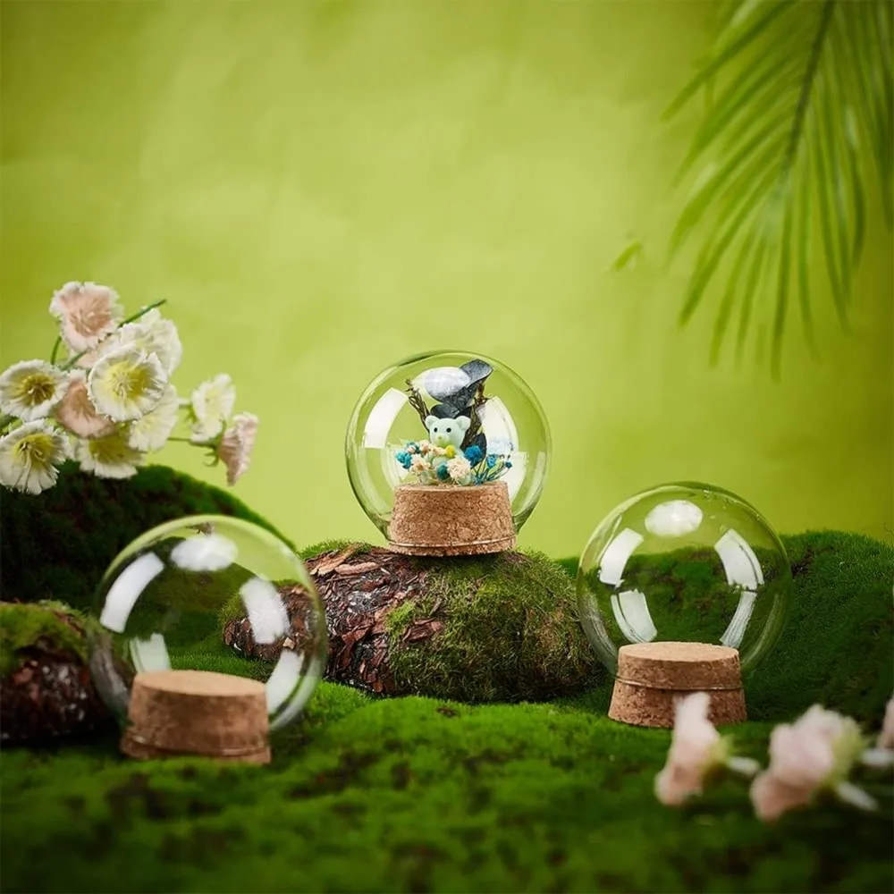 Set of 6 Glass Dome Lid Decorative Display Jars 2.5x2.7\