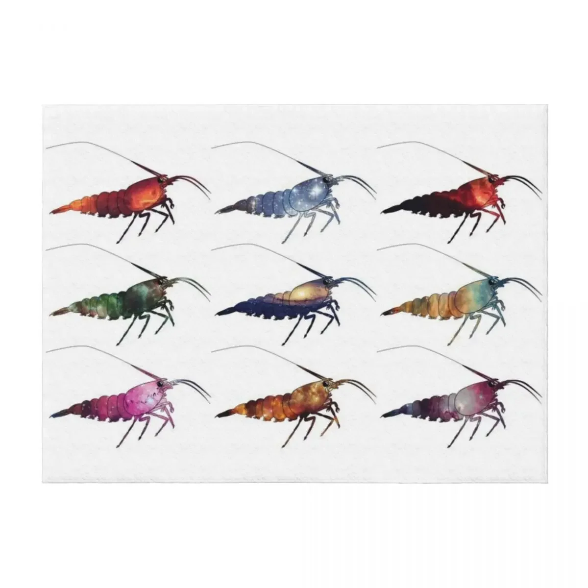 

Caridina in the space Throw Blanket Sofas heavy to sleep decorative Luxury St Blankets