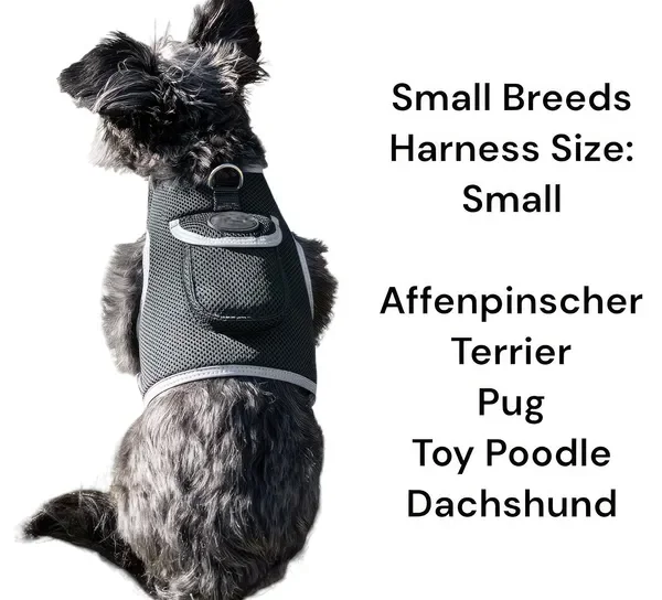 

Wireless GPS Collar for Hunting Dogs, Real-Time Location Tracker, Size L
