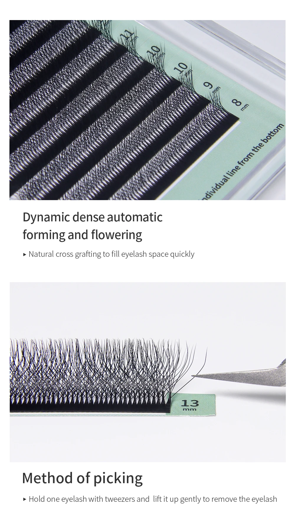 Glamlash 8d-w geformte Wimpern verlängerung c/d/l/lu/m vorgefertigte Volumen ventilatoren Klee w Stil Wimpern falscher Nerz weich leicht fanierend natürlich – Detail 5