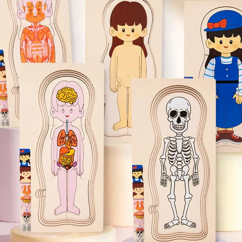 กายวิภาคศาสตร์ปริศนากายวิภาคศาสตร์สําหรับเด็กการเรียนรู้สร้างสรรค์เกมจิ๊กซอว์ที่สมจริงสําหรับ Homeschool ก่อนวัยเรียน Lab ห้องเรียนวิทยาศาสตร์ Forensic