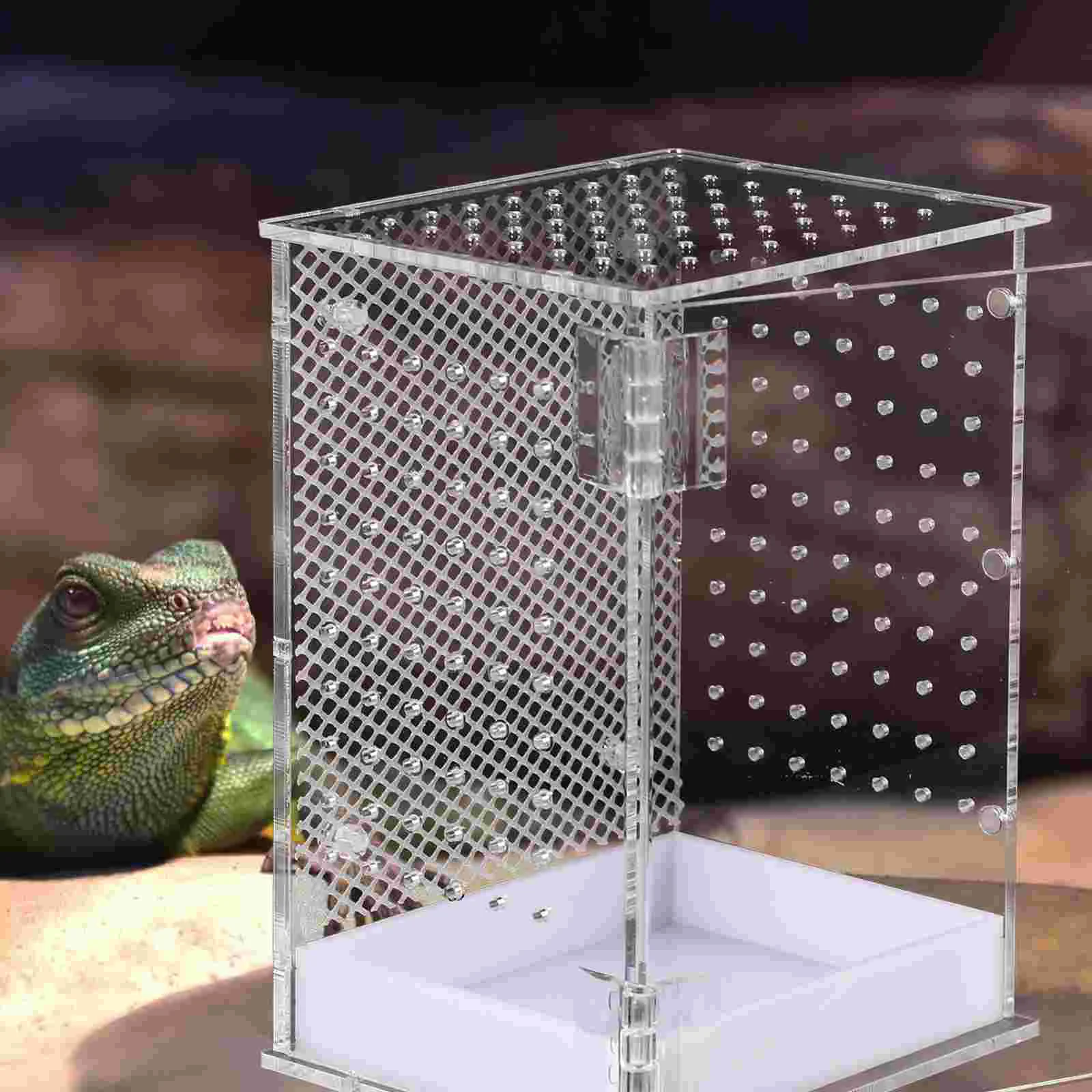 Spiderverse Reptile Pet Terrarium Tarantula Enclosure Mantis Holder Incubator The Fence Feeding Container White Snail