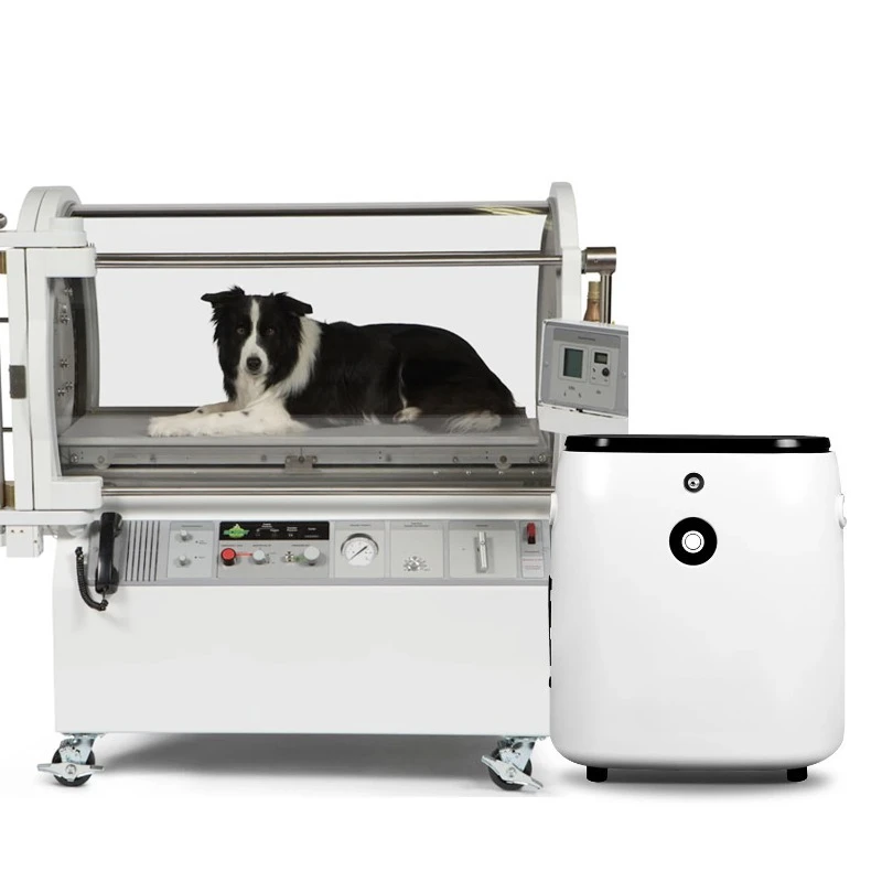 【Best-selling】Factory Supply 1-7L Flow Dog Mini Portable Therapy Concentrator  For Animals