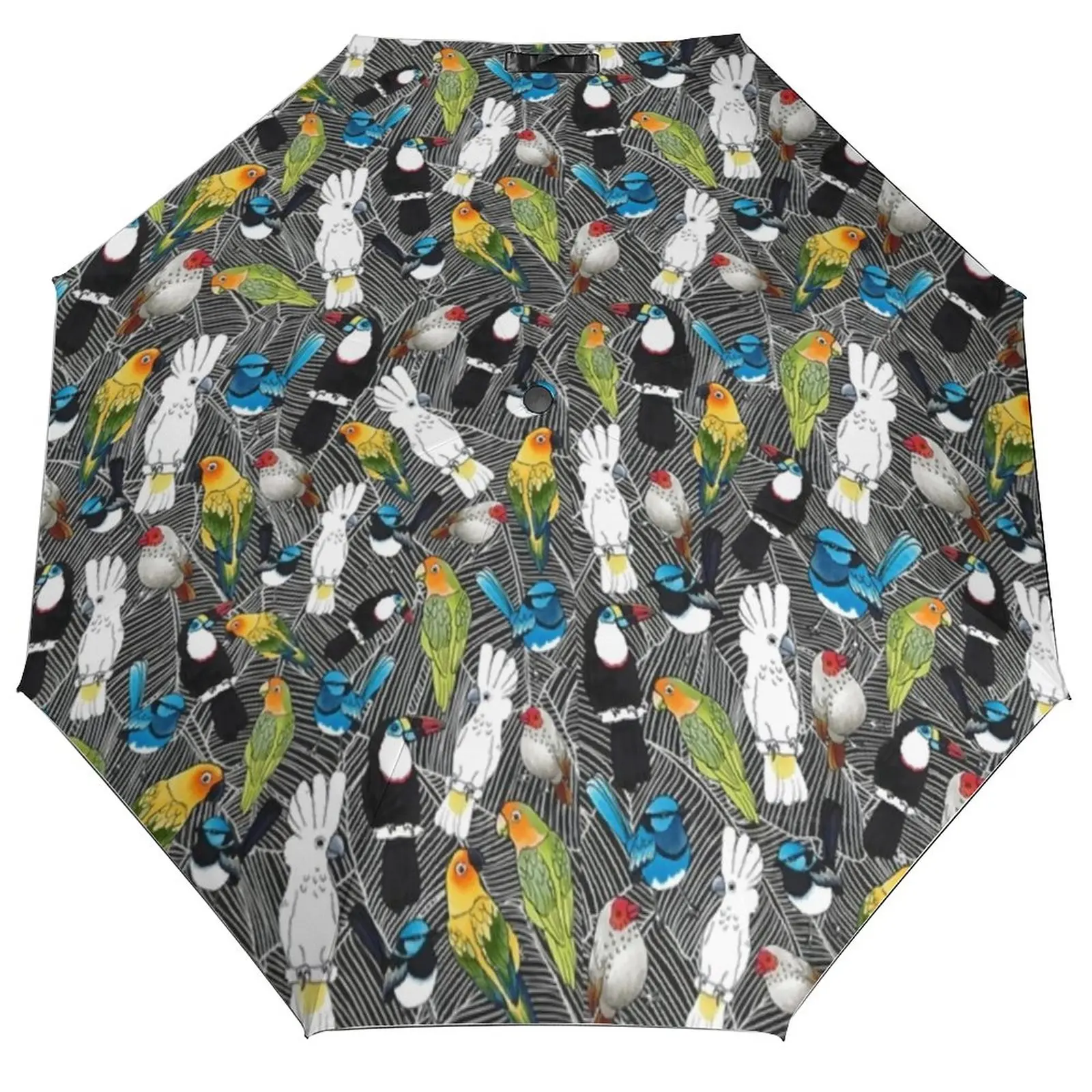 Colorful Parrot Print Umbrella Birds Of Paradise Anti UV Sun Umbrella Elegant Automatic Design Portable Umbrella