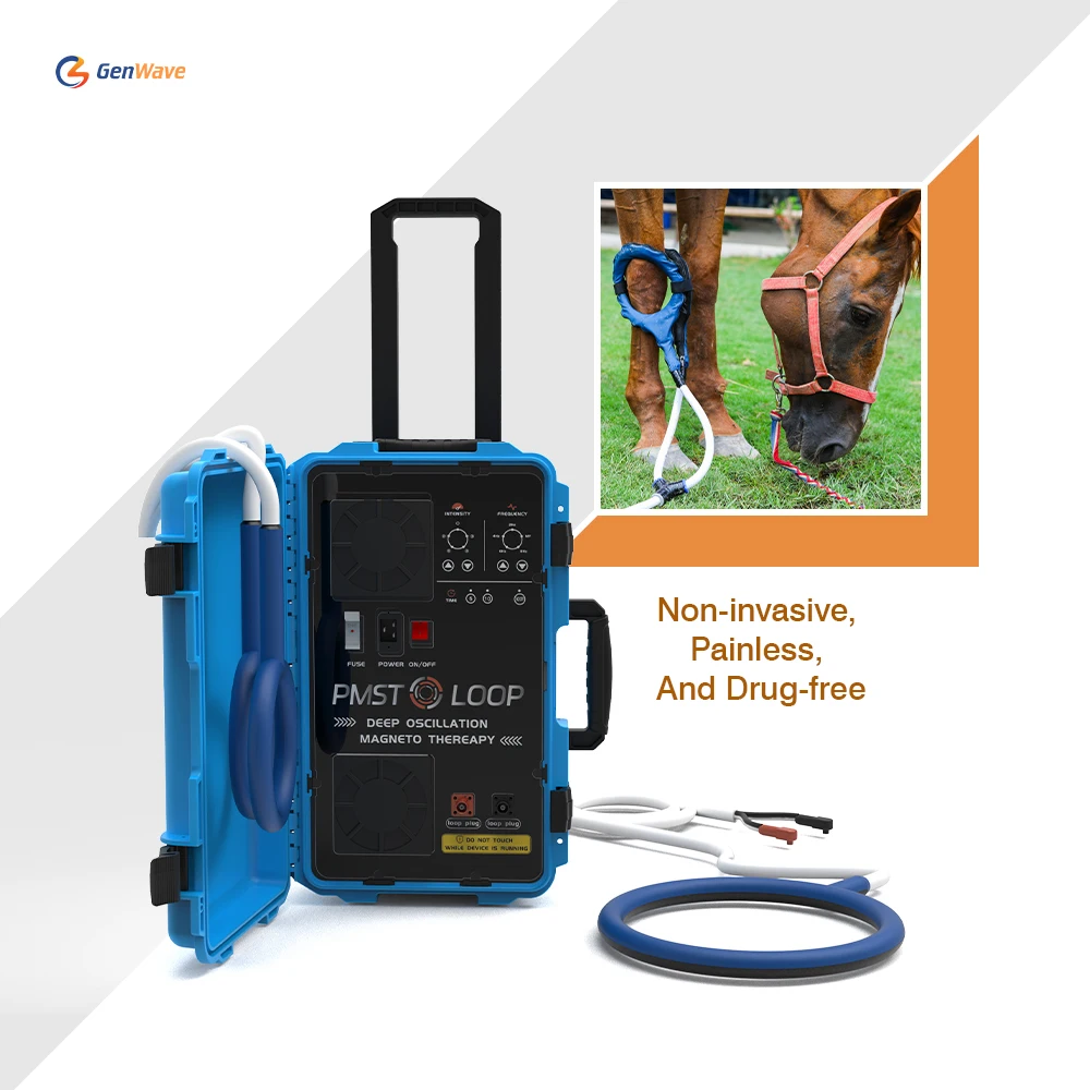 

PEMF Equine Loop For Horse Relaxation And Rehabilitation Pain Relief Machine