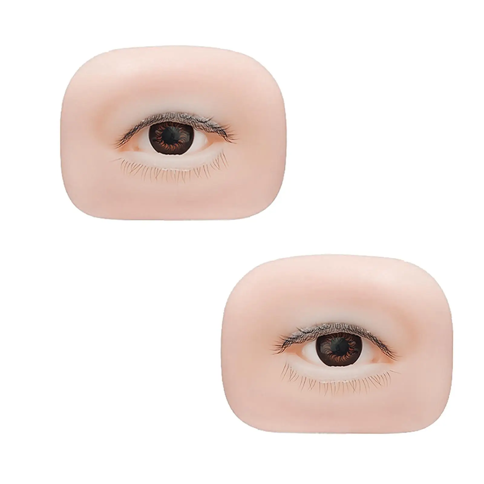 5D シリコーン製フェイクアイモデル 初心者アーティスト向け軽量アイボード