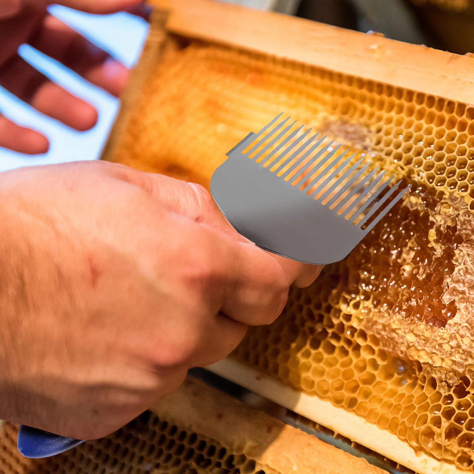 

Beekeeper Honeycomb Scraper Durable Plastic Handle Stainless Steel Needles Anti-Corrosive Honey Uncapping Tool Convenient