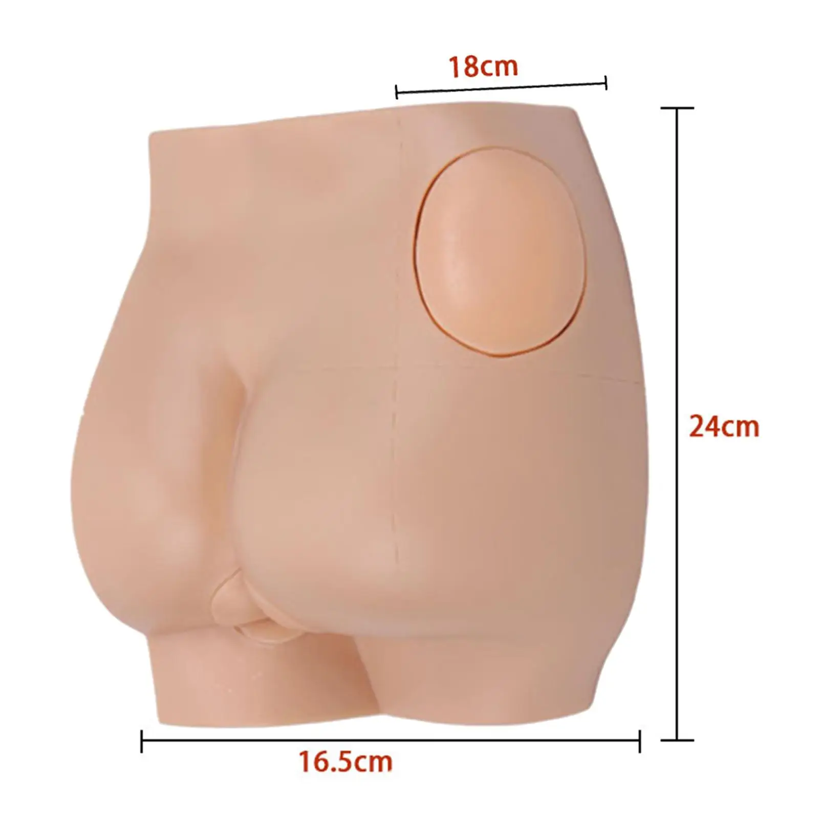 Science Buttock Injection Practice Model Hip Injection Training Simulator