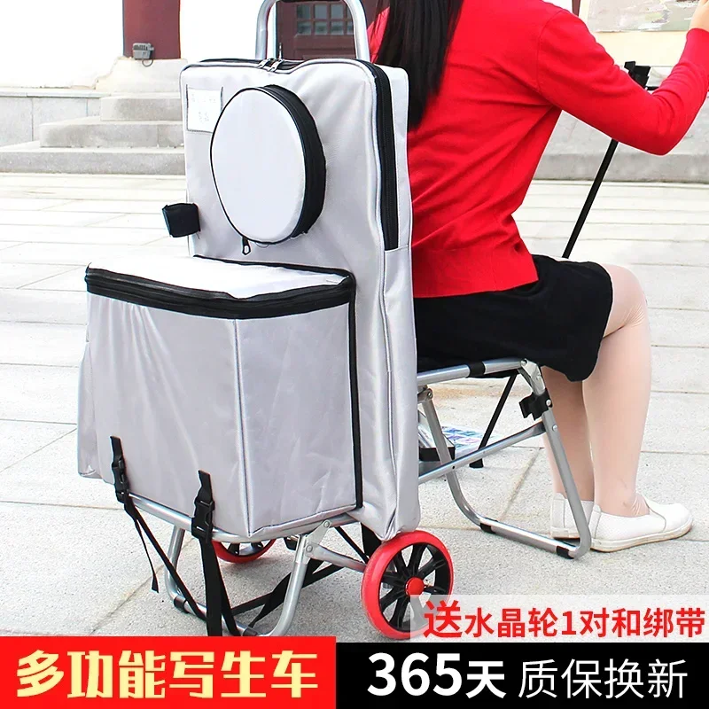 Sketching Car Multi functional Pull Rod Painting Car Art Student Art Exam Outdoor Sketching Small Foldable Staircase Climbing