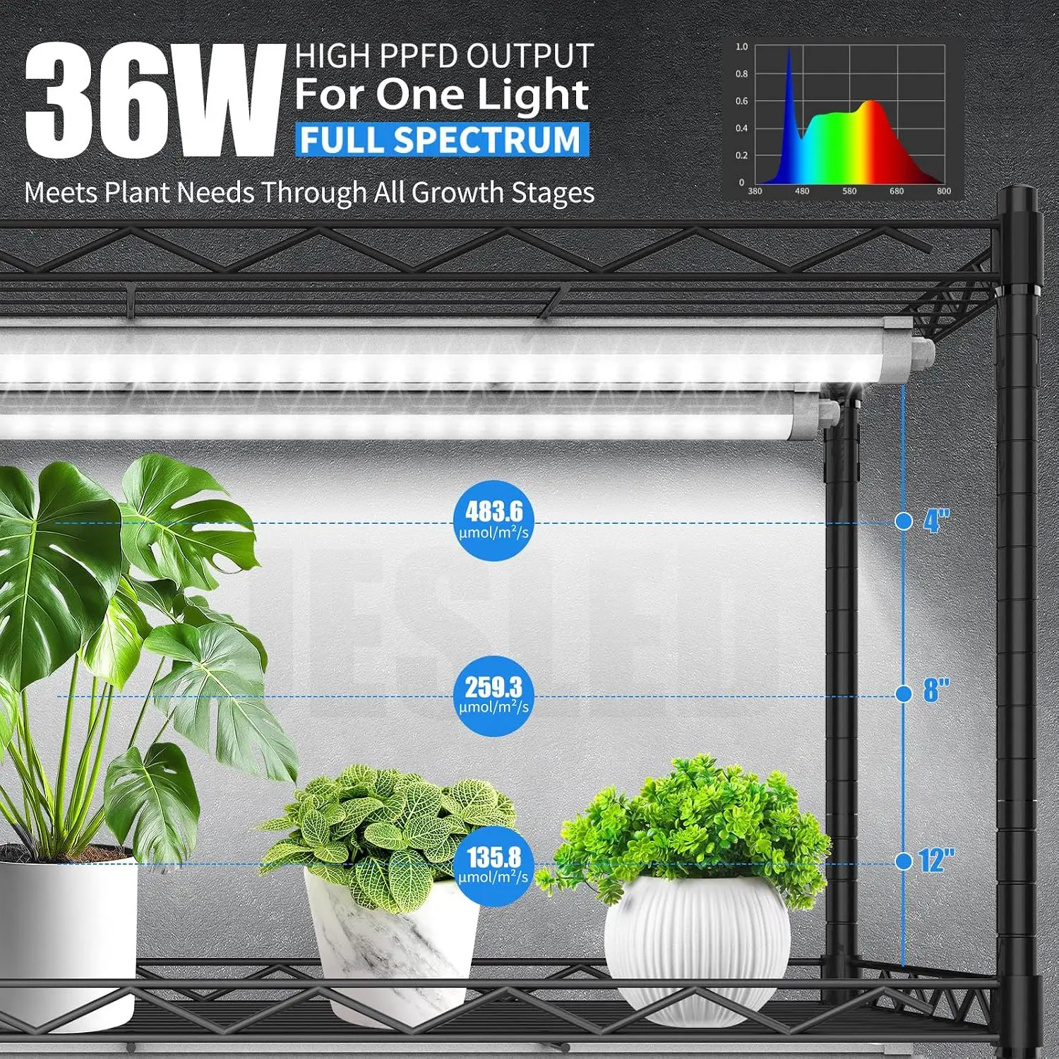 Indoor Plant Greenhouse with Integrated Grow Light, 35.4 x 13.8 x 59 Inches