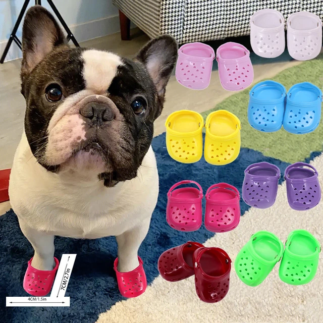 French bulldog shoes best sale