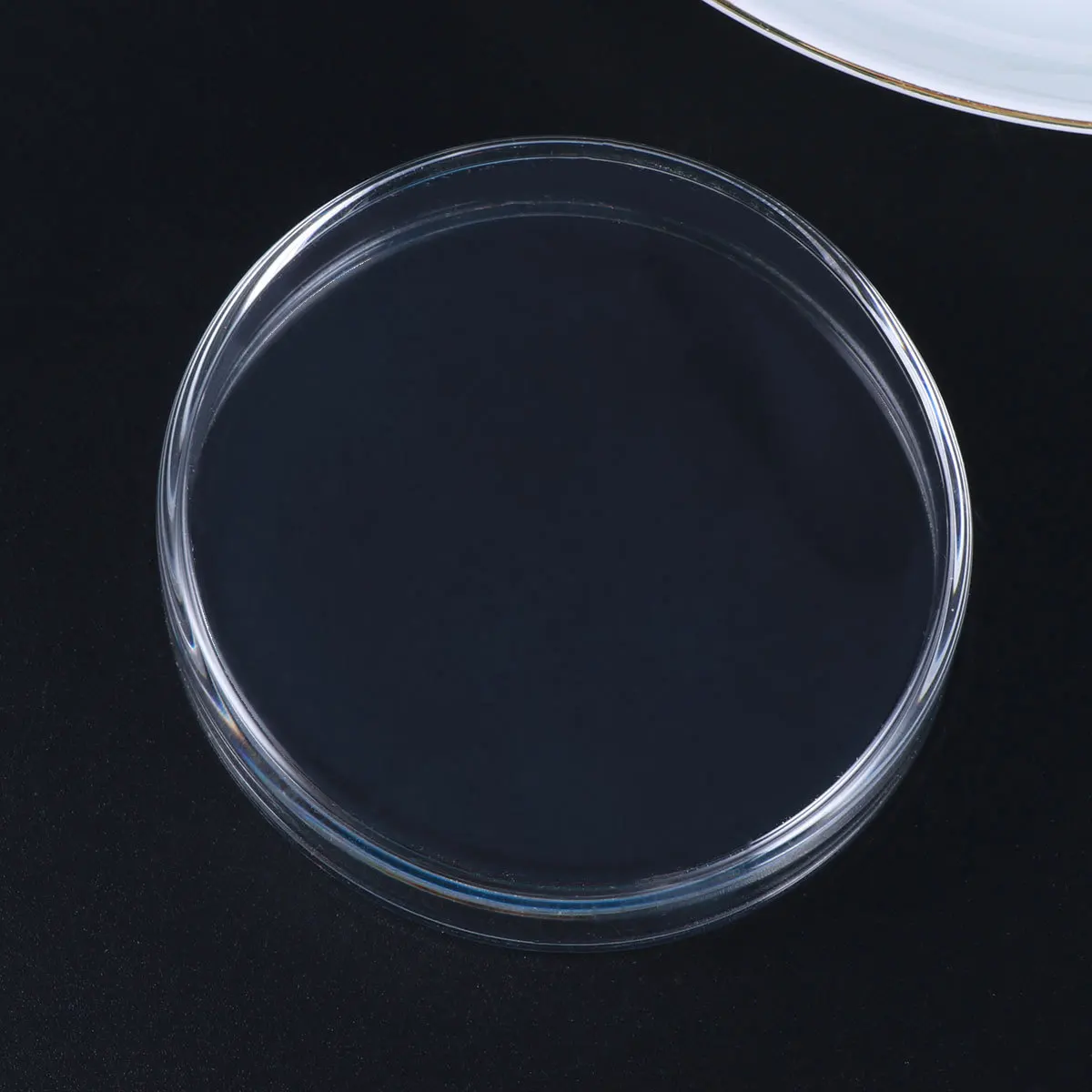 

Transparent Glass Shrimp Food Basin Small Round Floating Feeder Fish Lizard Spider Feeding Supplies Shrimp Food Round Dishes