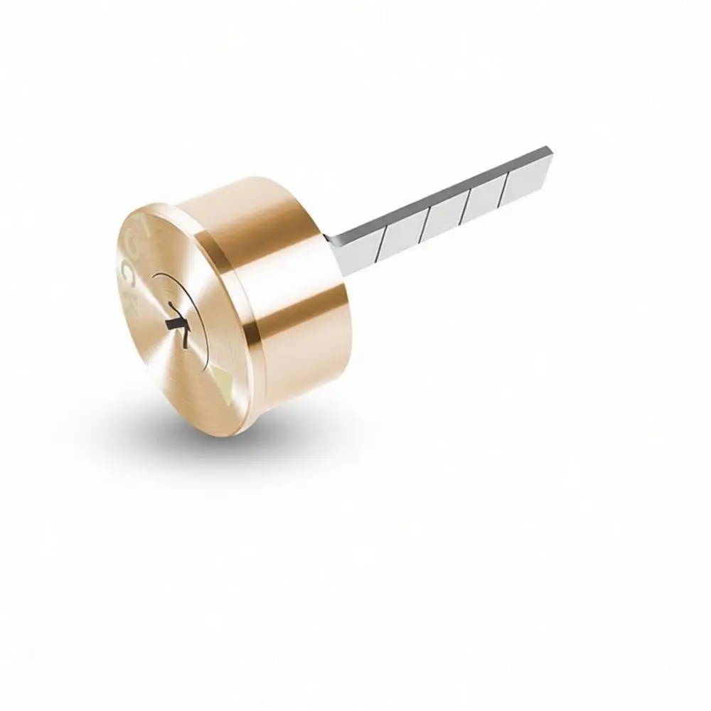 Premium External Door Lock Solid Copper Cylinder Security Deadbolt For Residential Wooden And Iron Gate Maintenance
