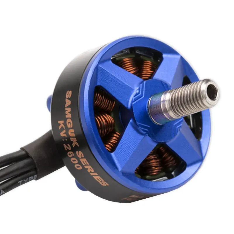 DYS Samguk серия Wei2207 1750KV 2300KV 2600KV 3-6S бесщеточный двигатель для радиоуправляемых моделей мультикоптеров с высоким крутящим моментом запасная часть для вертолета