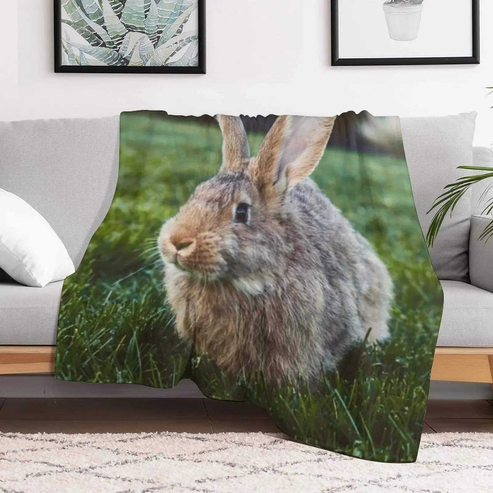 Flemish Giant Rabbit Throw Blanket Multi Purpose Soft Warm Blanket for Home Travel