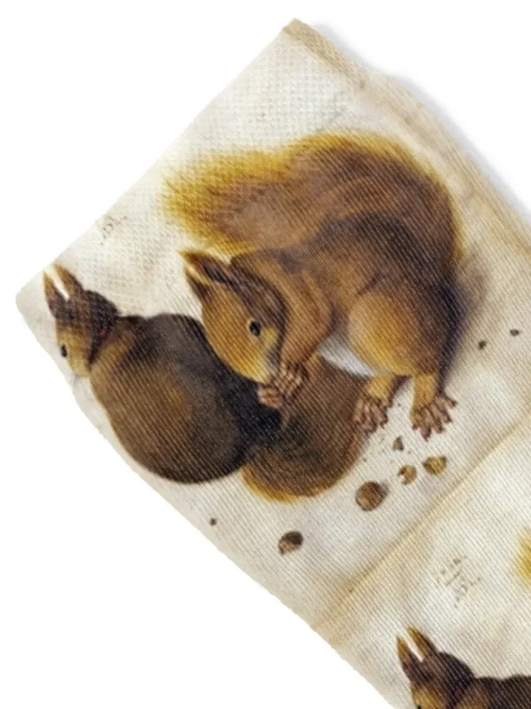 اثنين من السناجب من ألبريشت دورر الجوارب الموضة اليابانية عدم الانزلاق مخصص المرأة الجوارب الرجال #2