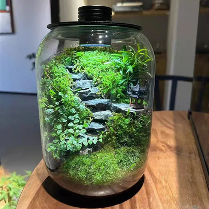Dimmable USB Terrarium Plant Growing Lamp with Timer for Vases,Indoor Plant Growth, Succulent, Miniature Gardening Landscape