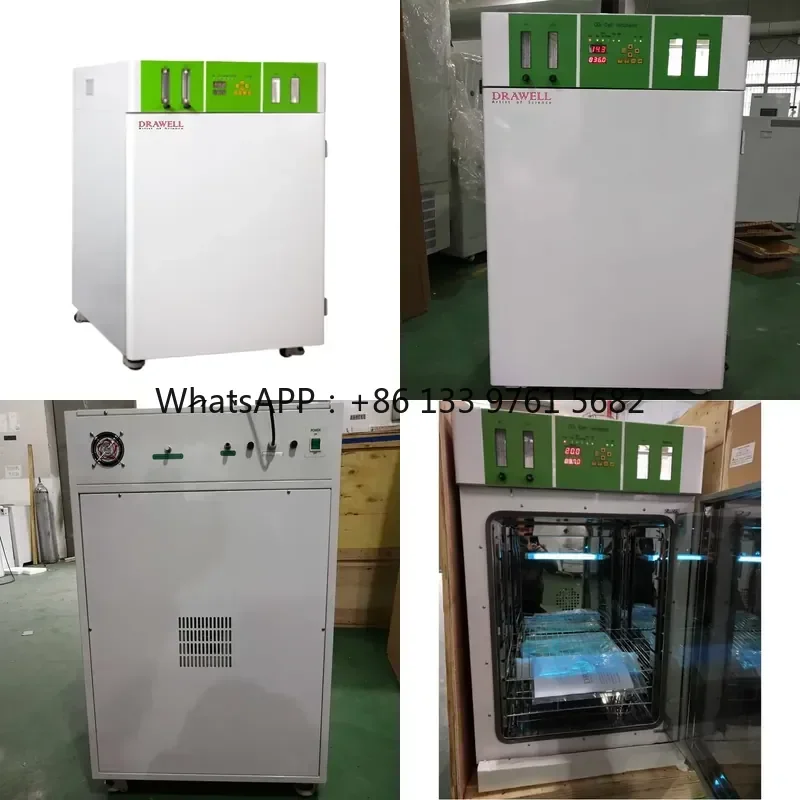 WSQ Laboratory CO2 Incubator Machine Incubator Mushroom Incubator