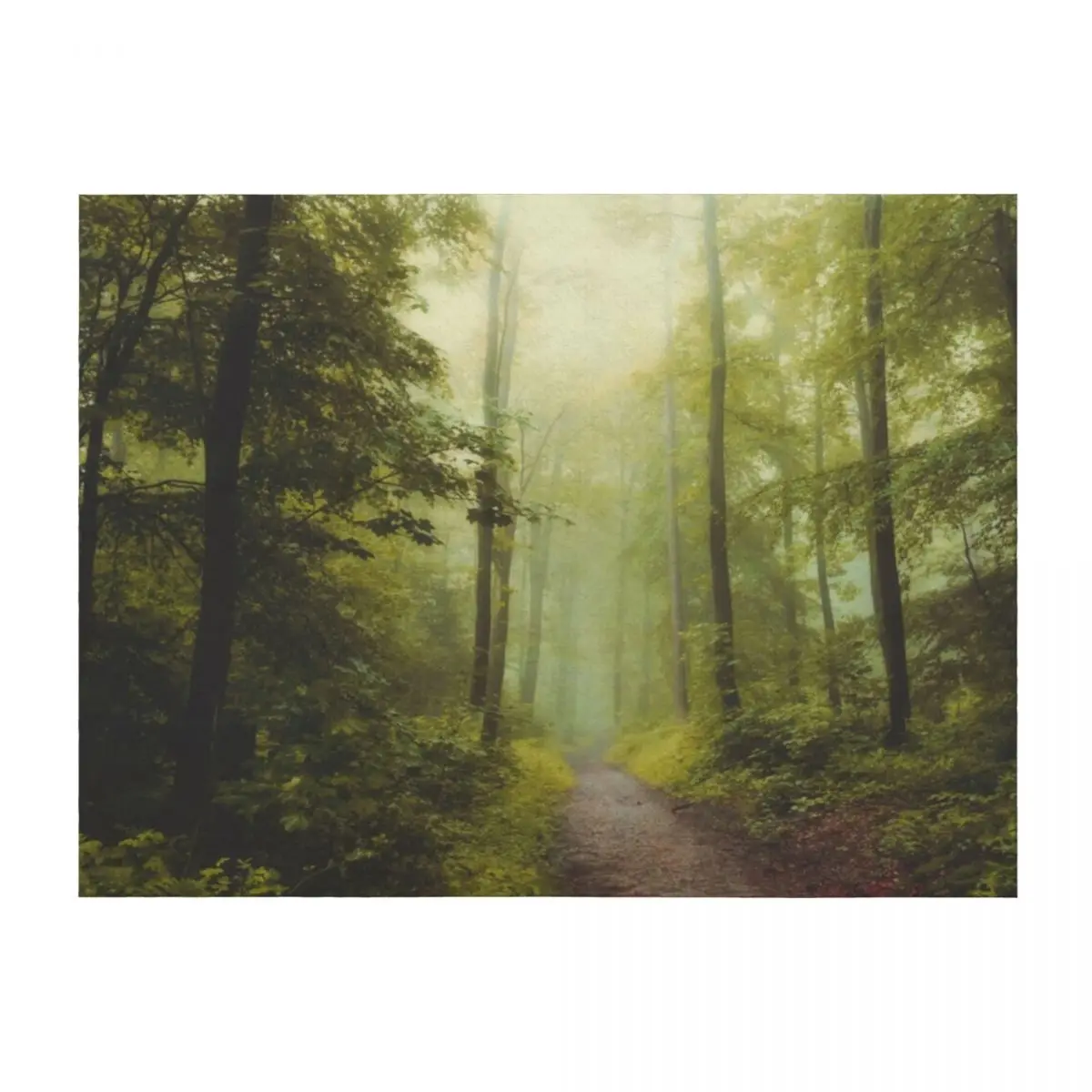 

Long Forest Walk Throw Blanket Beautifuls Sleeping Bag Nap Blankets For Baby Blankets