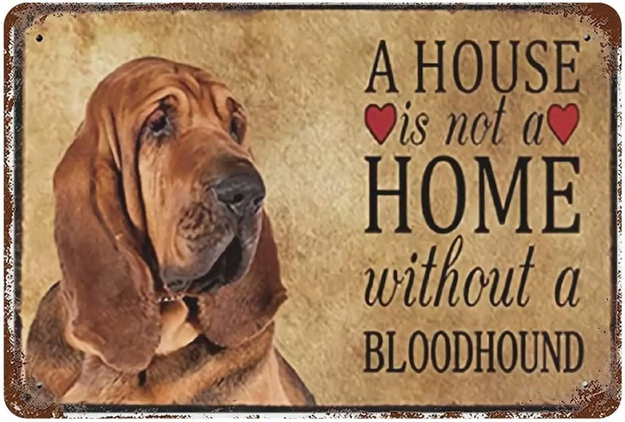 Retro Metal Tin Sign 8 X 12 Inches Bloodhound Pet Dogs Home Without The Bloodhound Metal Poster Retro Plaque Wall Decor Gift for