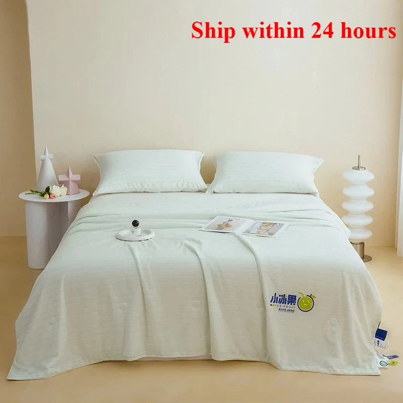

2025 new summer antibacterial nylon cool silk summer quilt cold summer cool quilt washable machine washable