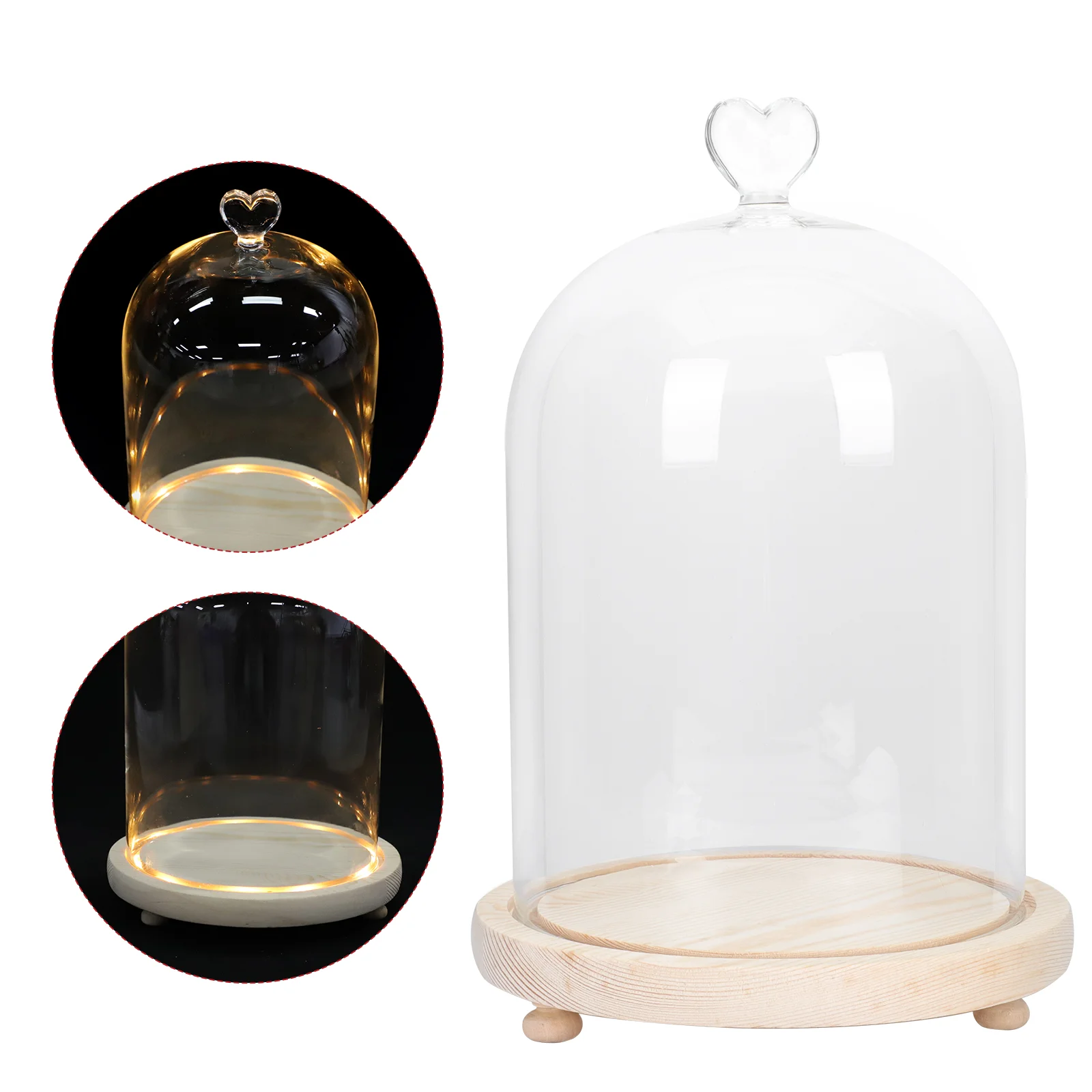 

Model Decorative Lights Lovers Plant Display Case Glass Base Romantic Hand Ornament