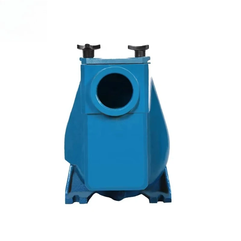 Water Crown Modern Energy Efficient Swimming Pool Water Filter Pump Heating and Cooling Heat Pump System for Pools