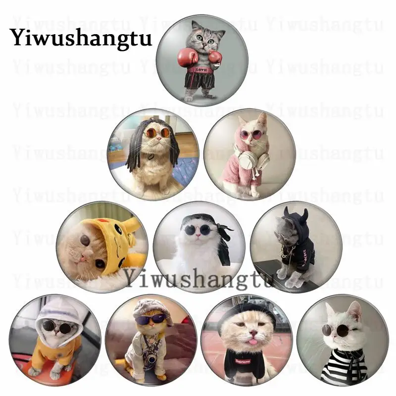 Lovely cartoon Cats Pet animal pattern 12mm/18mm/20mm/25mm Round photo glass cabochon demo flat back Making findings