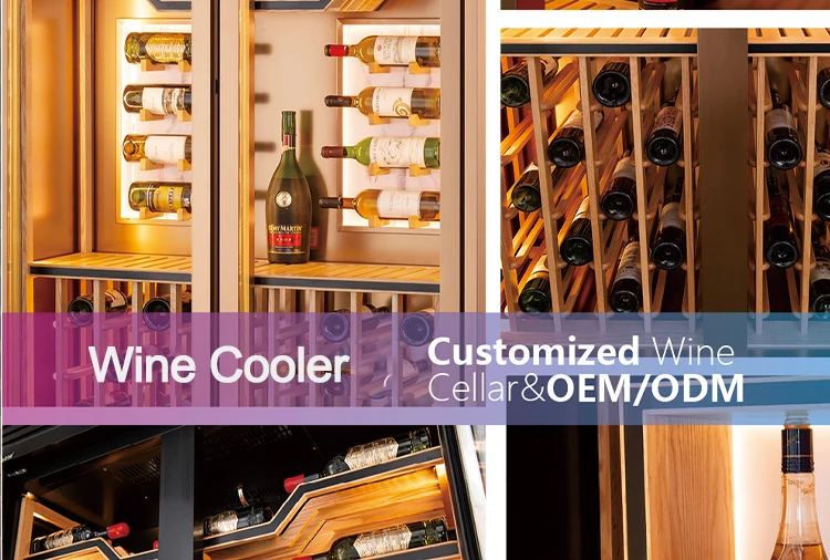 Wine Dispenser Cooler with Wine Vacuum Saver and Wine Preservation System