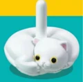 white cat