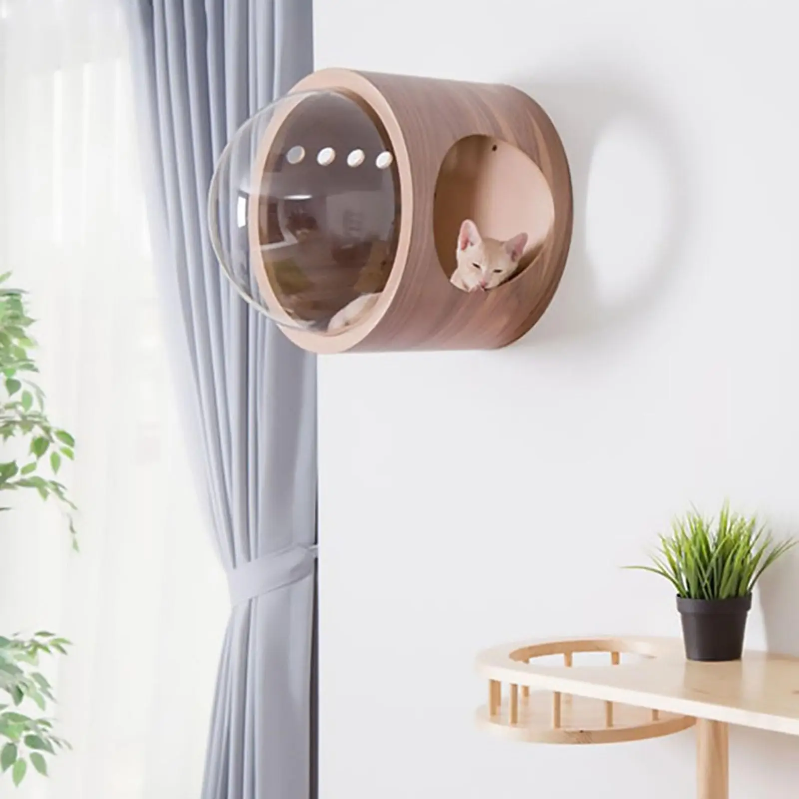 Wall-Mounted Cat Climbing Frame, Solid Wood  Wall Furniture, Capsule Cat Nest Set, for  Sleeping, Playing