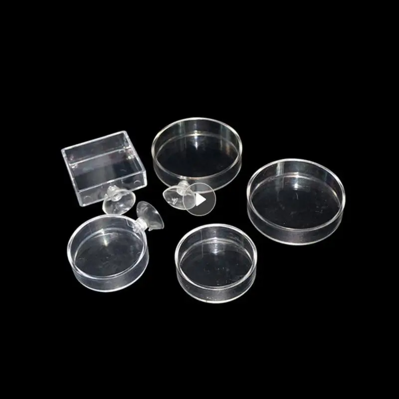 HighTransparent Acrylic Aquarium Fish Tank Shrimp Food Feeding Circle Feeder Floating Bottom Feeder Fish Shrimp With Suction Cup