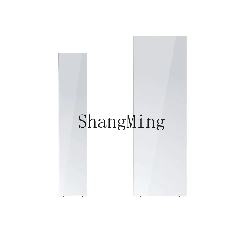 FG  full body full-length mirror magnetic suction household pet girl floor-to-ceiling non-glass movable fitting yoga mirror