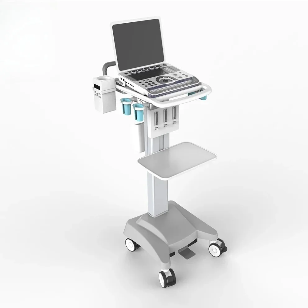 Manufacturer's Mobile Patient Nursing Trolley Cart Workstation  Cart with Laptop Metal Material for Hospital Use