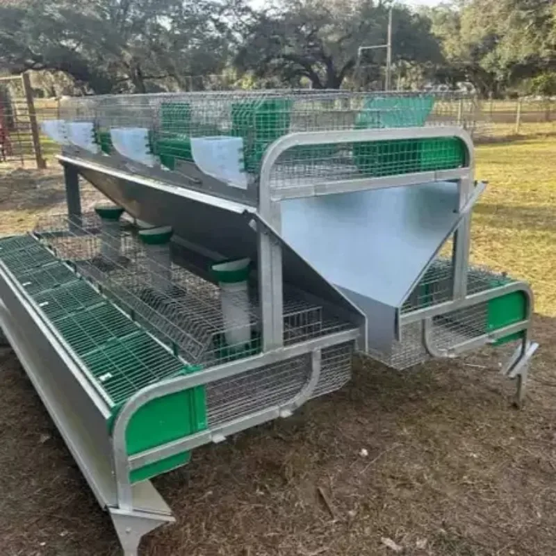 European-style 24-compartment mother-and-child rabbit cage, used for farm breeding, centralized breeding, and rabbit raising