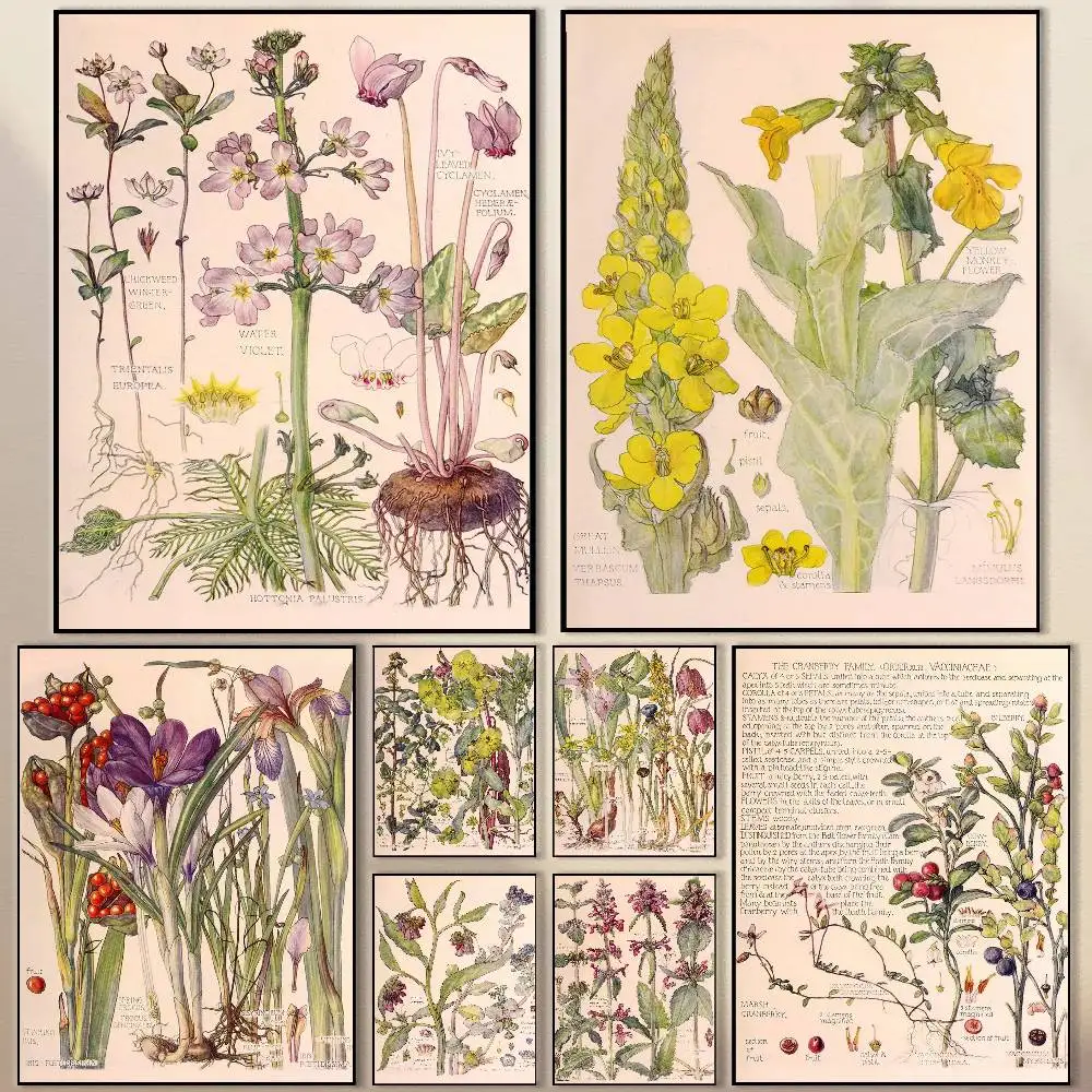 

New Botanical lllustration Poster Modern Waterproof HD Wall Art Decal Self-Adhesive Aesthetic Decor for Home Living Room Bedroom