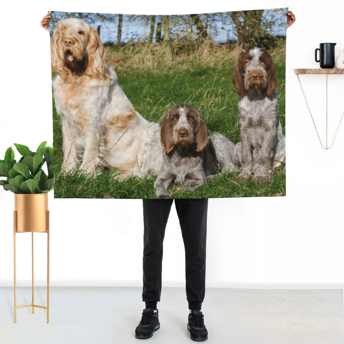 Sunny afternoon Spinoni Throw Blanket Summer for winter Multi-Purpose Soft Plaid Soft Plush Plaid Heavy Blankets