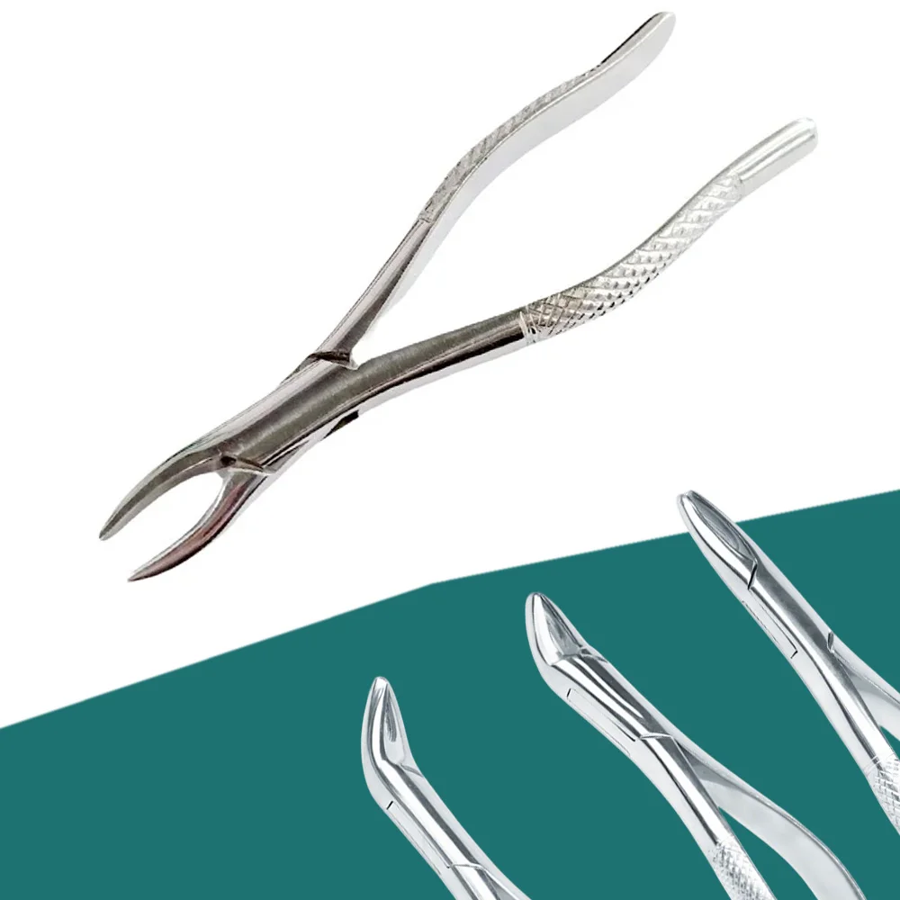 

Tooth Extracting Forceps for Adults, Dental Extraction Instruments, Surgical Tools Kit for Clinic, Stainless Steel