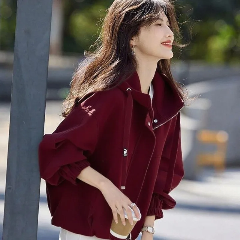 Giacca classica versatile corta con cappuccio Giacca d'assalto 2025 Nuova giacca da esterno comoda semplice casual allentata primaverile e autunnale