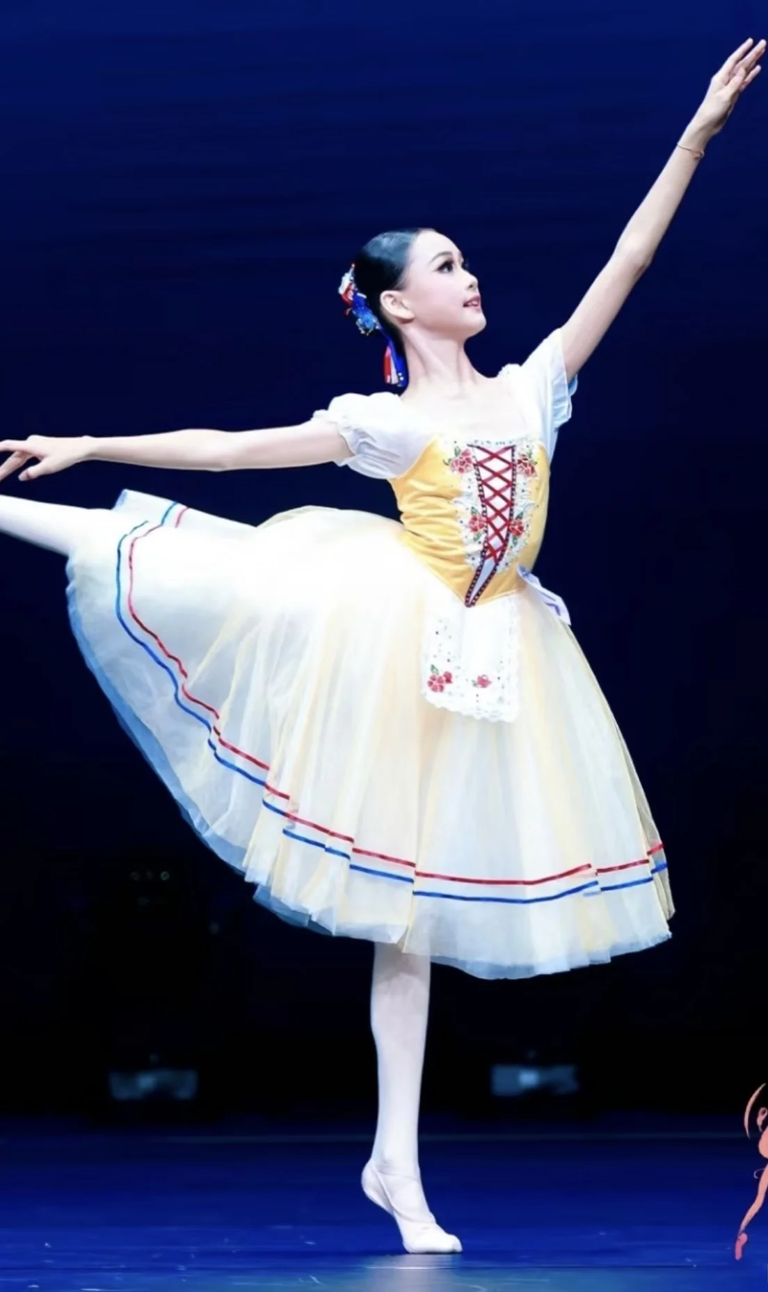 jupe-de-ballet-gerberia-pour-adultes-et-enfants-costume-de-performance-et-de-competition-de-ballet-longue-jupe-en-tulle-pour-fille-ballet-moderne