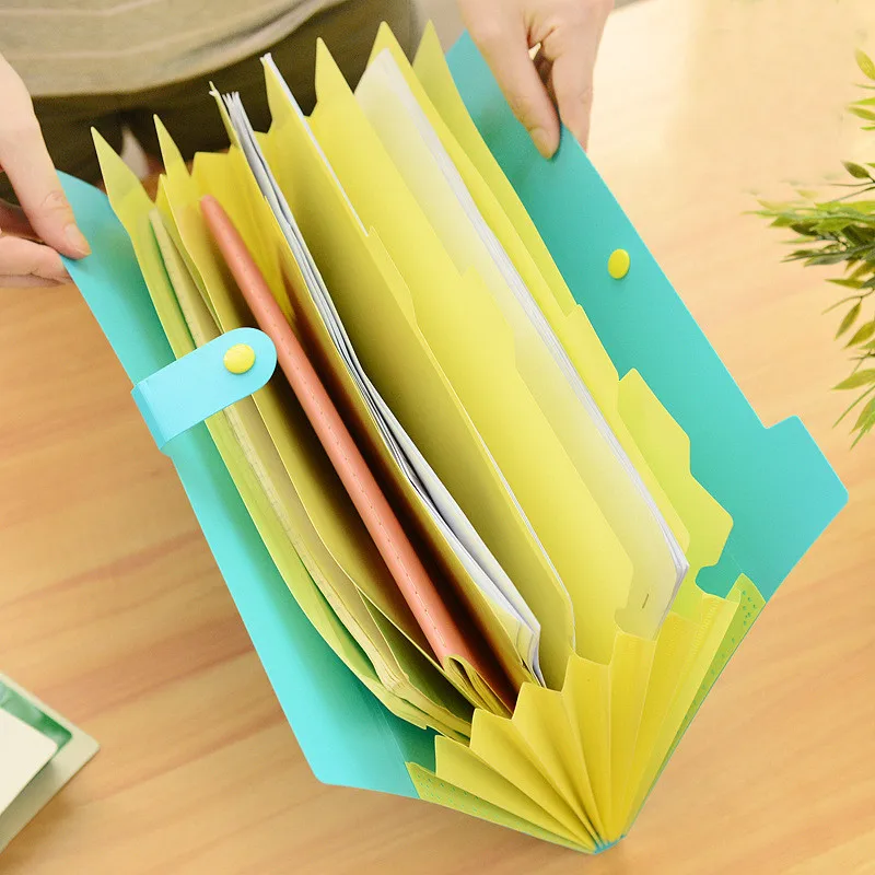 8-Cell Simple Solid Color Student Office Document Storage Folder Stationery Organizer